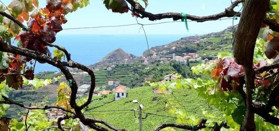Madeira