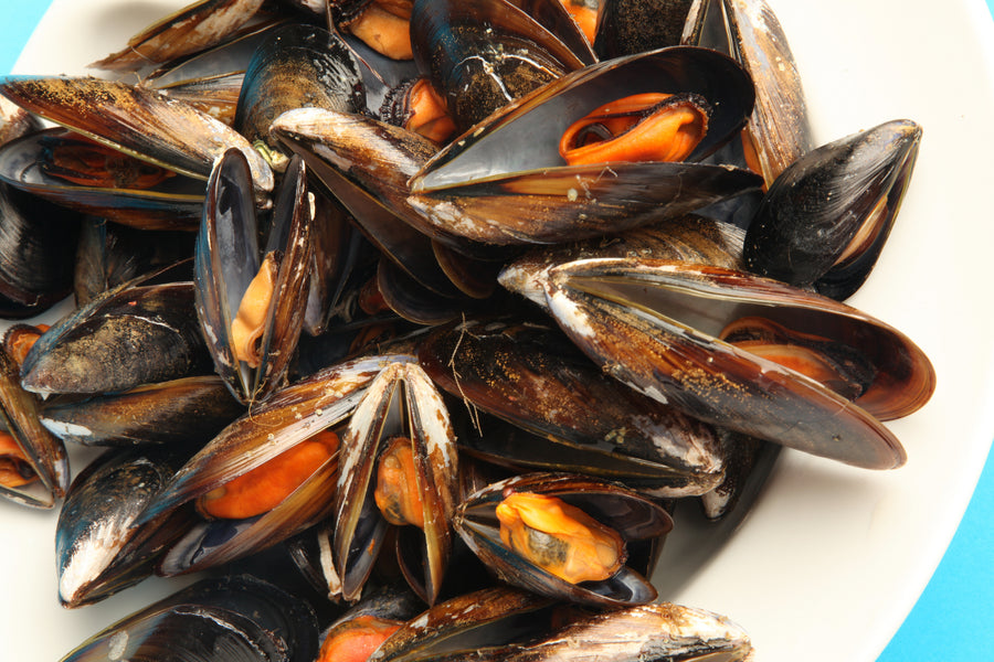 Galician Mussels - Mejillon (Frozen) - 1kg