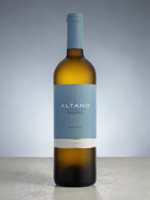 Bottle of Wine