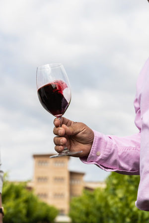 Esteban Martin Garnacha-Cabernet Sauvignon 12M 2020 Reserve