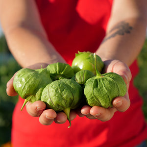La Chipotlera Salsa Marciana - Mild Green Tomatillo and Chili Sauce